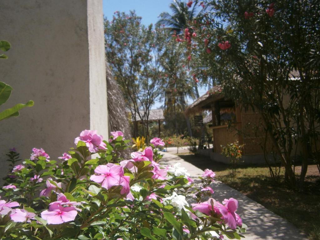 Gili Garden Bungalow Gili Meno Exterior foto